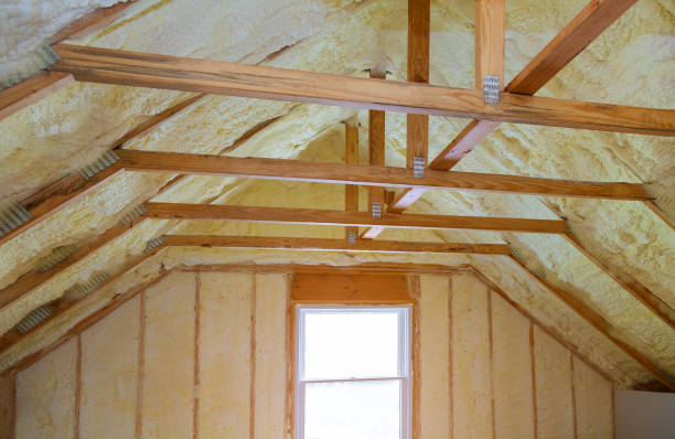Best Commercial Insulation in Big Pine Key, FL