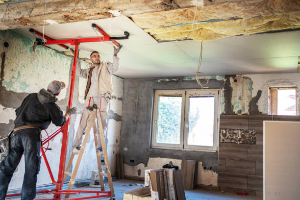Best Types of Insulation in Big Pine Key, FL